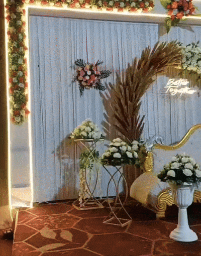 video home banner